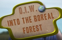 Into the Boreal: Sharing our habitat
