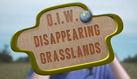 Disappearing grasslands: Sharing our habitat