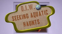 Aquatic haunts: sharing our habitat