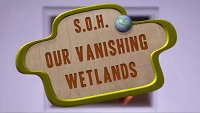 Vanishing wetlands: sharing our habitat