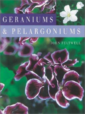 Geraniums & pelargoniums