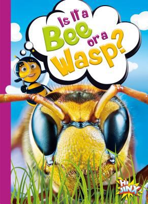 Is it a bee or a wasp?