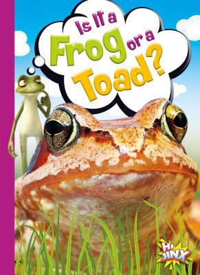 Is it a frog or a toad?