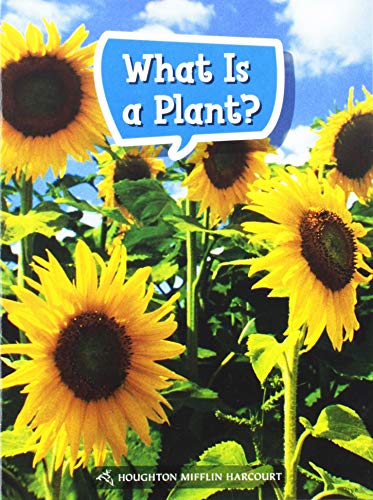 What is a plant?