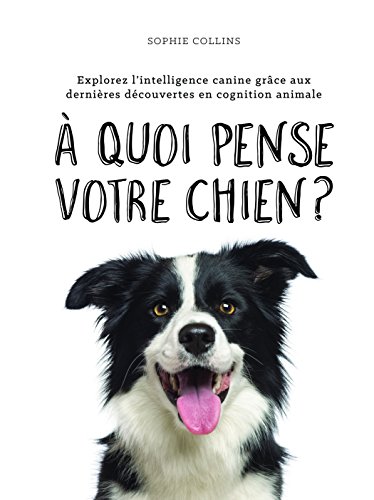 À quoi pense votre chien? : explorez l'intelligence canine grâce aux dernières découvertes en cognition animale