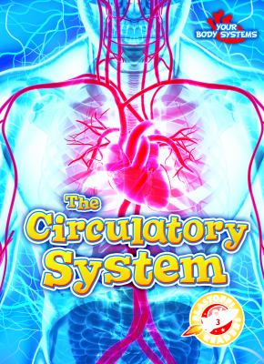 The circulatory system