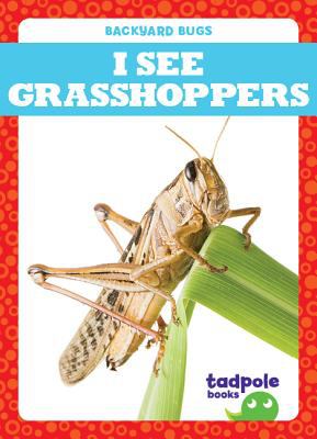 I see grasshoppers