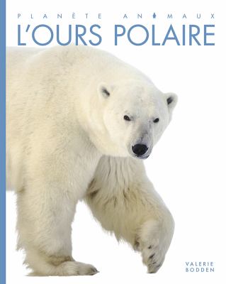 L'ours polaire