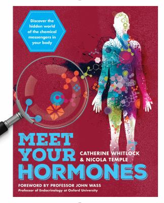 Meet your hormones