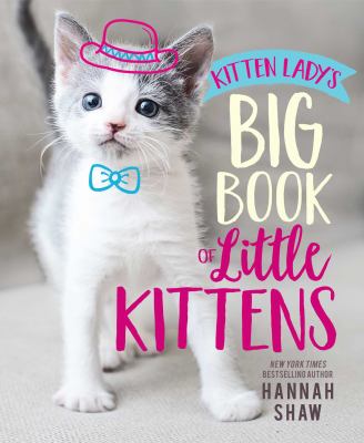 Kitten Lady's big book of little kittens