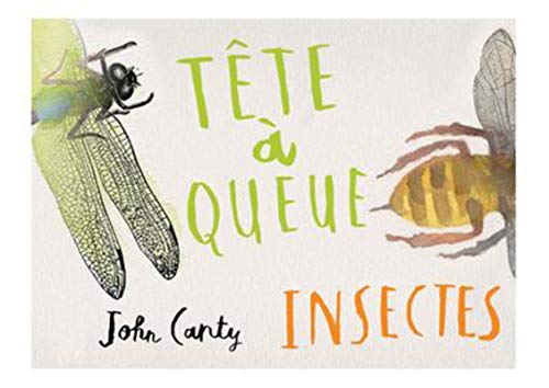 Tête à queue, insectes