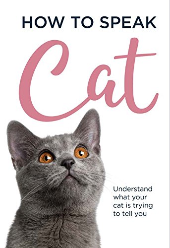 How to speak cat : understand what your cat is trying to tell you