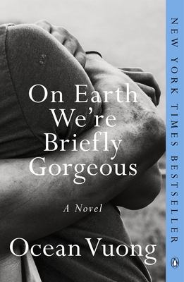 On Earth we're briefly gorgeous : a novel