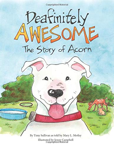Deafinitely awesome : the story of Acorn