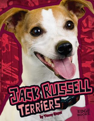 Jack Russell terriers