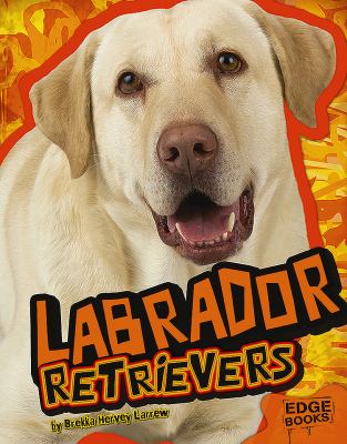 Labrador retrievers