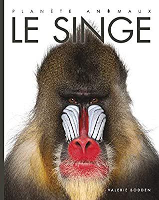 Le singe