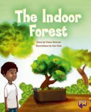 The indoor forest