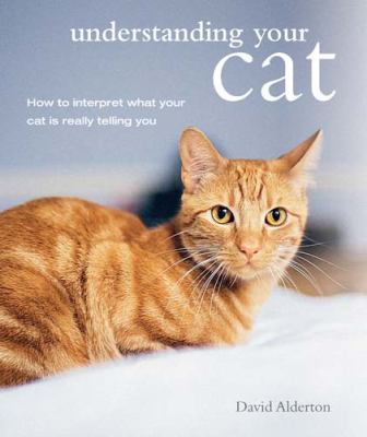 Understanding your cat : how to interpret what your cat is really telling you