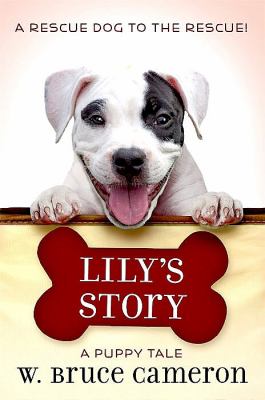 Lily's story