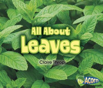 All about leaves