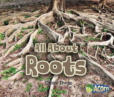 All about roots