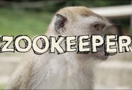 Zoo Keeper : My Job Rocks Series