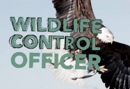 Wildlife Control Officer : My Job Rocks Series