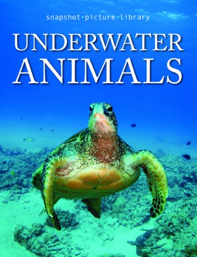 Underwater animals