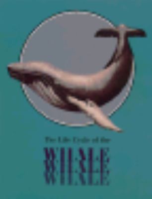 The life cycle of the whale