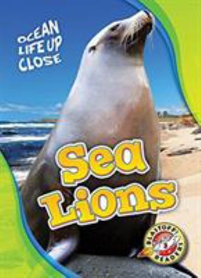 Sea lions