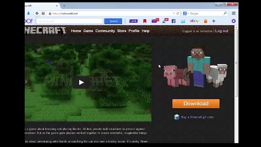 Creating a Customized Skin in Minecraft