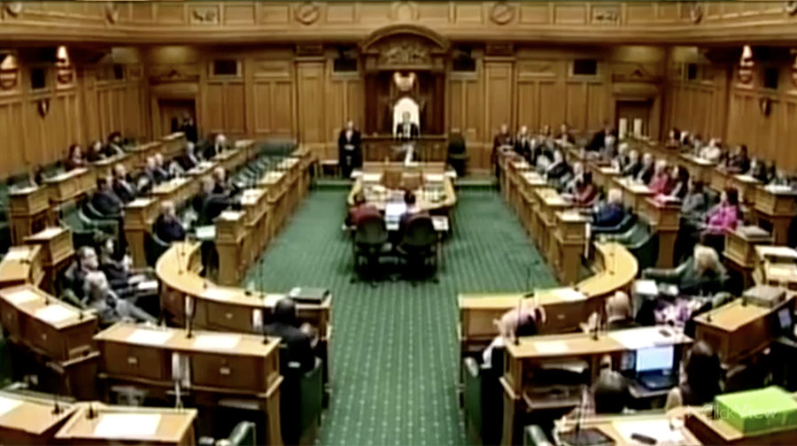 'Big Gay Rainbow' - NZ Parliament  : The Power of Speech