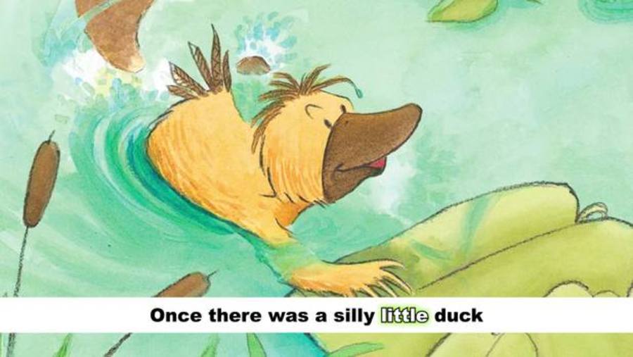 Silly Little Duck