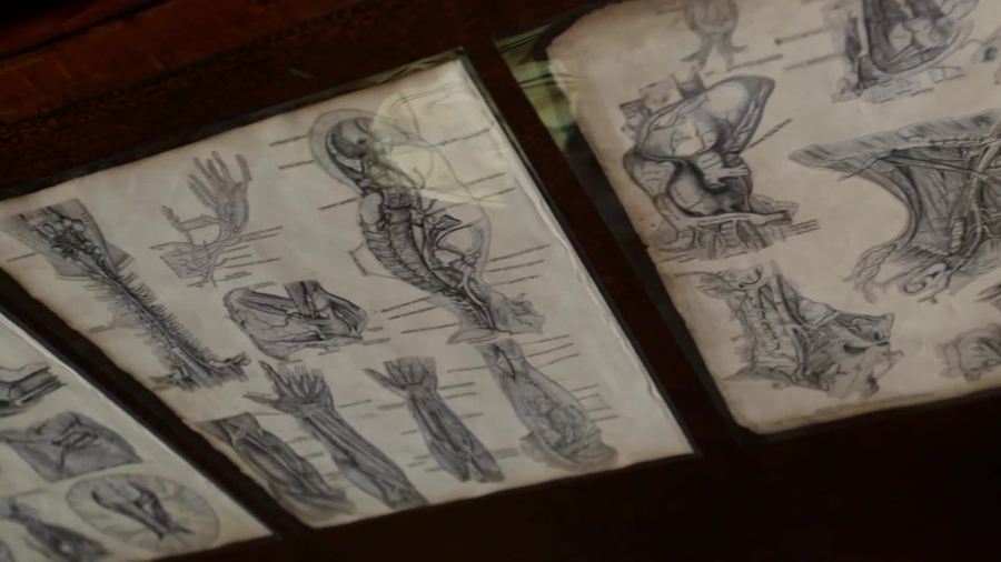 The Beauty of Anatomy, Galen And Leonardo