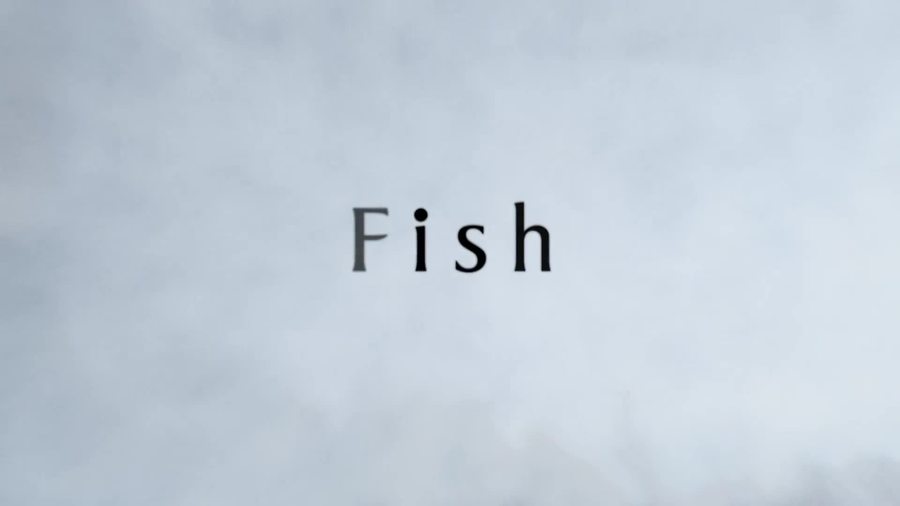 Life, Fish