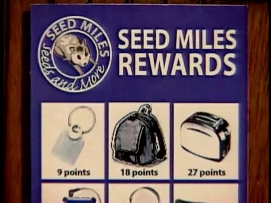 Seed Points  : Tumbletown Tales