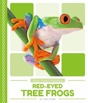 Red-eyed tree frogs