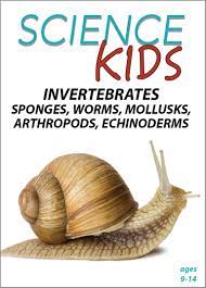 Invertebrates : Sponges, Worms, Mollusks, Arthropods, Echinoderms