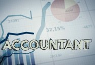 Accountant : My Job Rocks Series