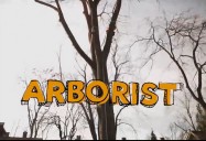 Arborist : My Job Rocks Series