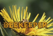 Beekeeper : My Job Rocks Series