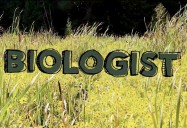 Biologist : My Job Rocks Series