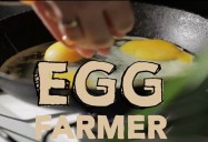 Egg Farmer : My Job Rocks Series