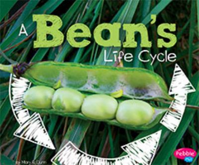 A bean's life cycle