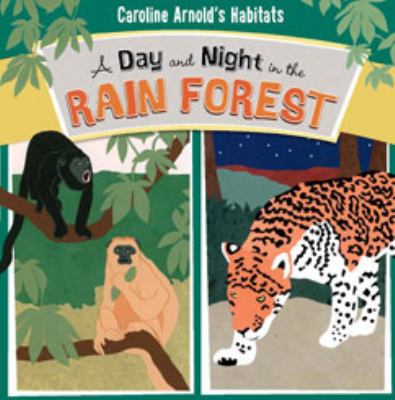 A day and night in the rain forest