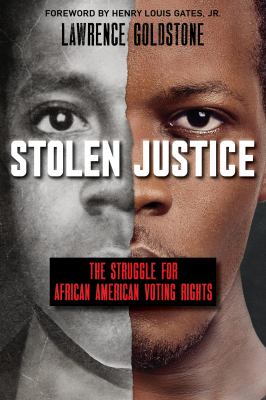 Stolen justice : the struggle for African-American voting rights