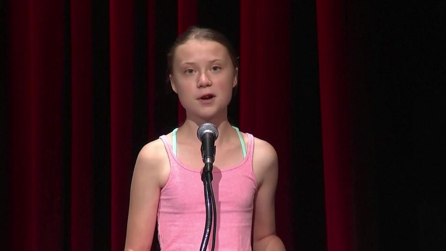 Amnesty Awards Teen Activist Thunberg And Fridays For The Future