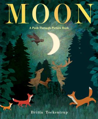 Moon : a peek-through picture book