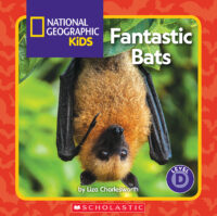 Fantastic bats